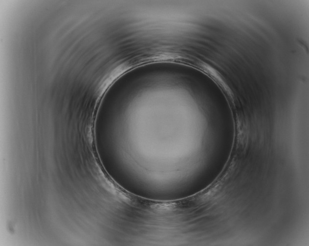 X0000100880810200806271136