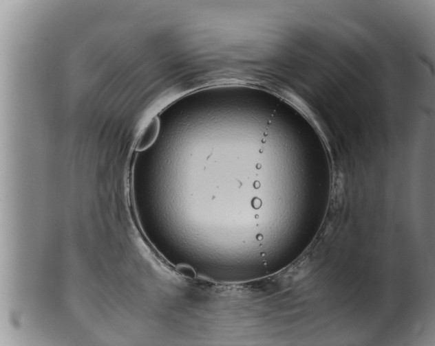 X0000100880811200806271136