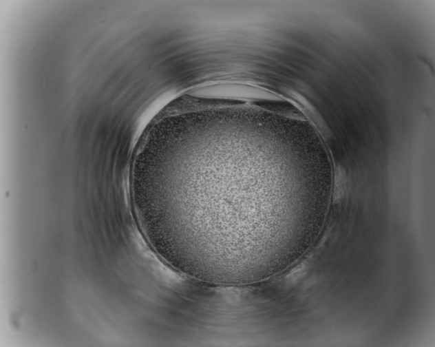 X0000100880812200806271136