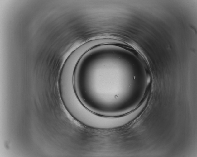 X0000100880813200806271136