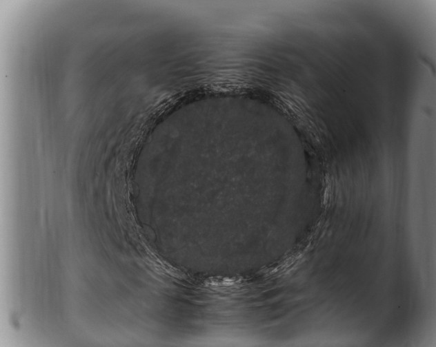 X0000100880817200806271135