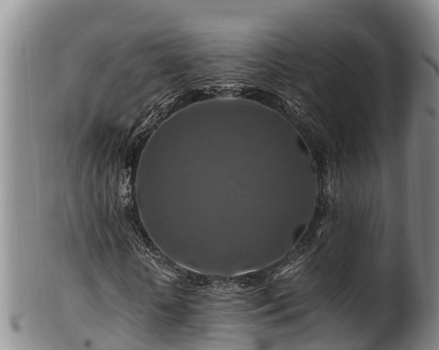 X0000100880818200806271135