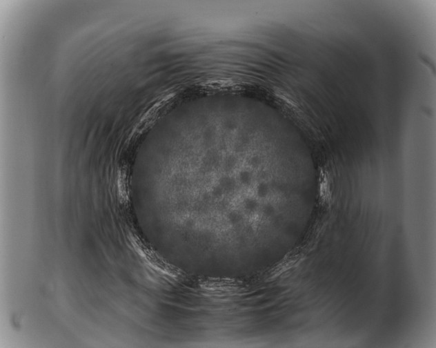 X0000100880819200806271135