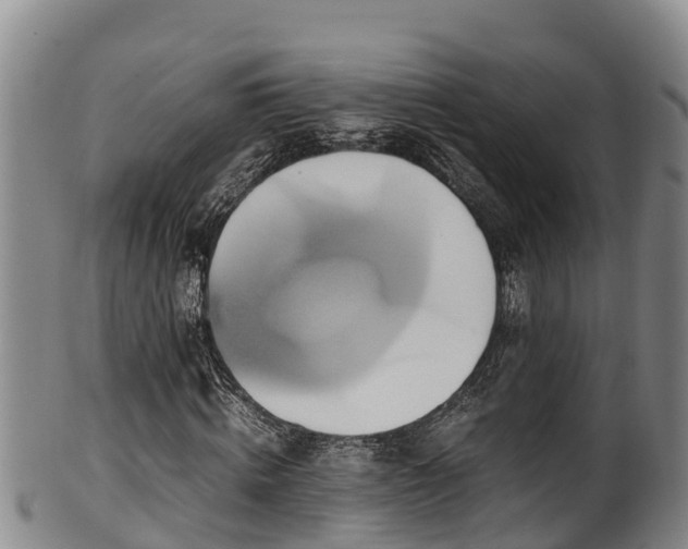 X0000100880820200806271135