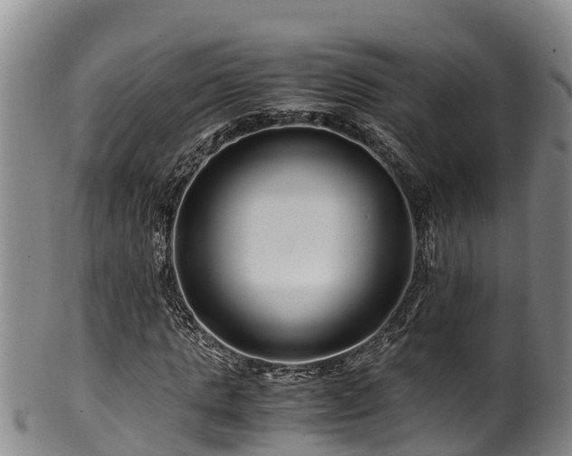 X0000100880821200806271135