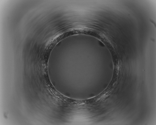 X0000100880822200806271135