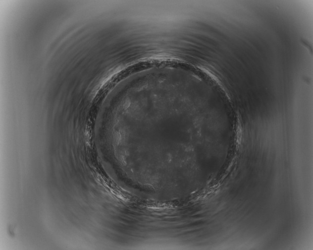 X0000100880823200806271135