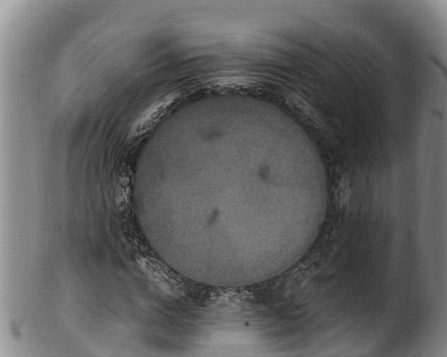 X0000100880824200806271135