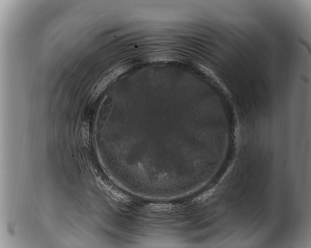 X0000100880825200806271135