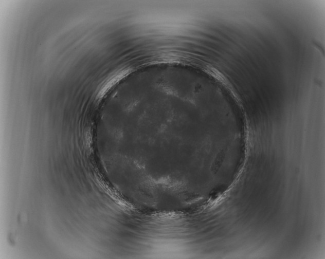 X0000100880826200806271135