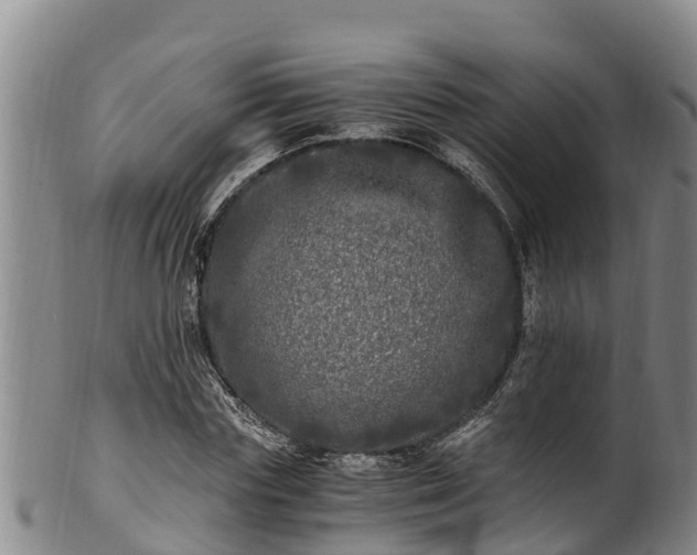 X0000100880827200806271135