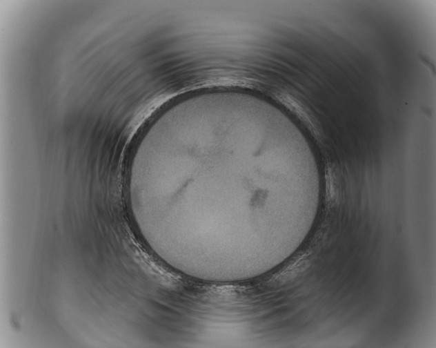 X0000100880828200806271135