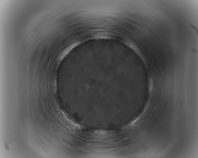 X0000100880829200806271135