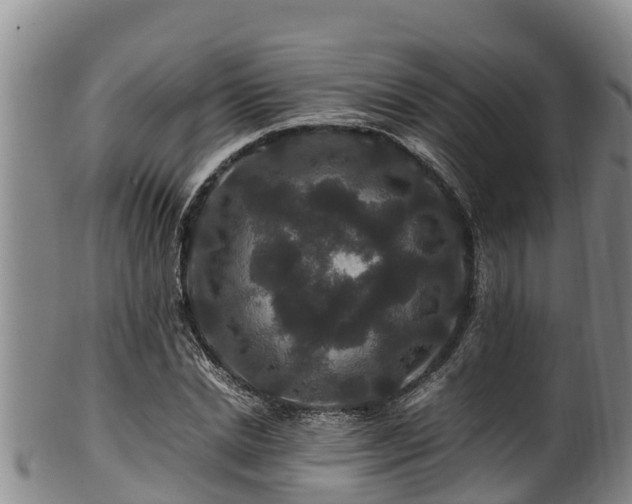 X0000100880830200806271135