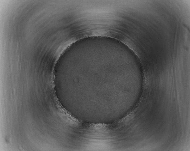 X0000100880832200806271135