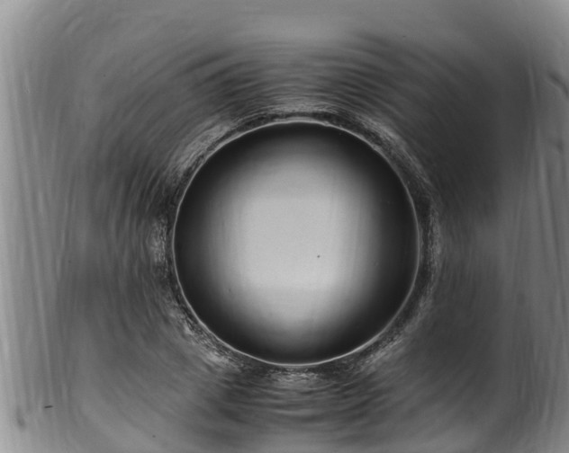 X0000100880833200806271135