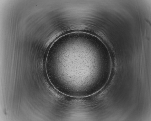 X0000100880834200806271135