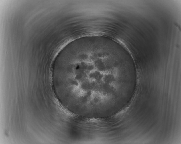 X0000100880835200806271135