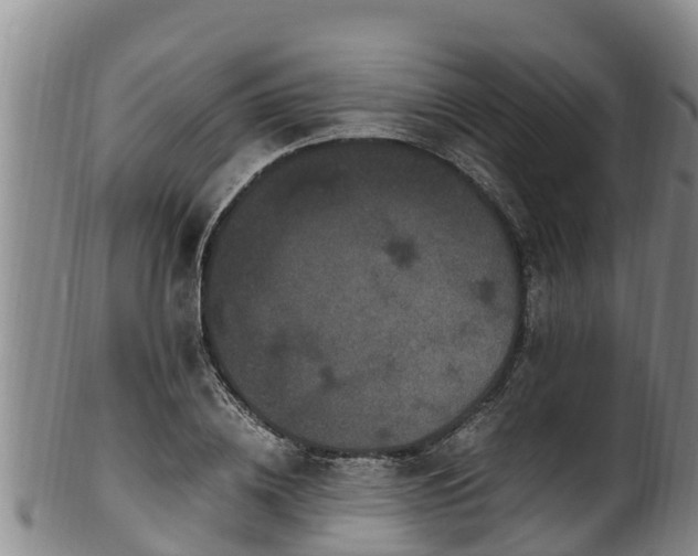 X0000100880836200806271135