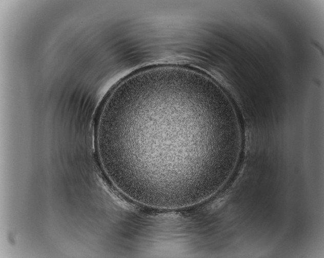 X0000100880838200806271135