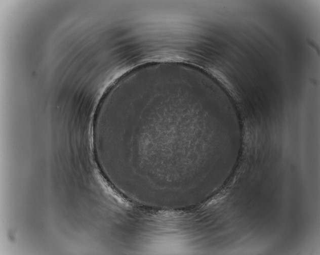 X0000100880840200806271135