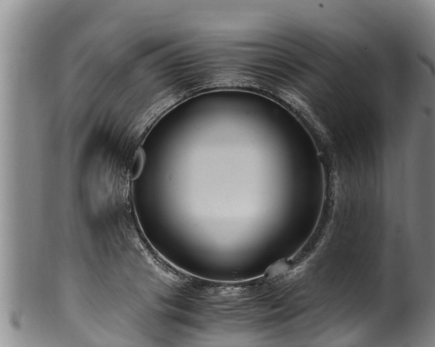 X0000100880841200806271135