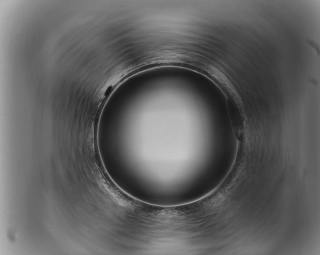 X0000100880842200806271135