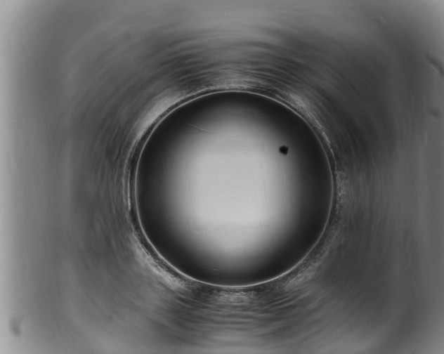 X0000100880843200806271135