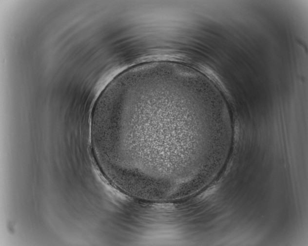 X0000100880844200806271135