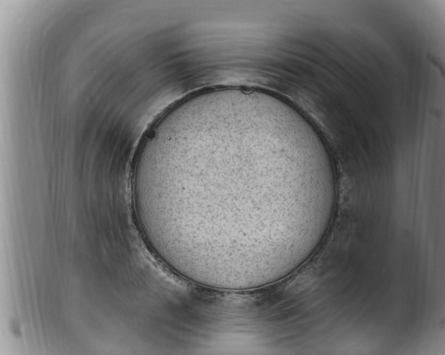 X0000100880848200806271135