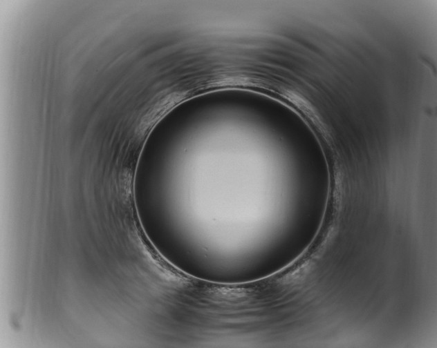 X0000100880849200806271135