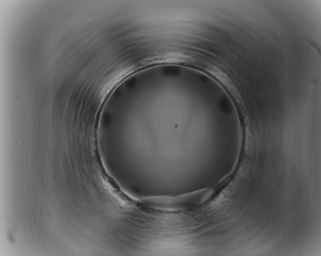 X0000100880850200806271135