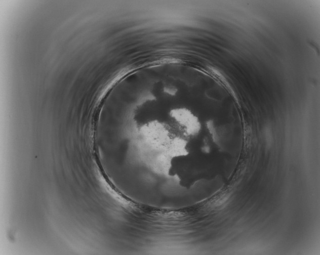 X0000100880851200806271135