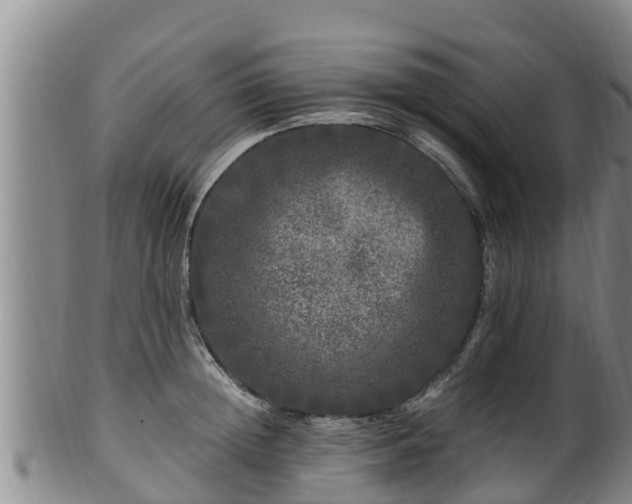 X0000100880852200806271135