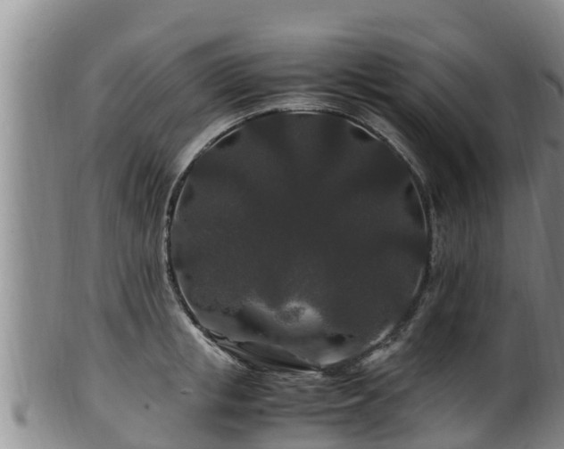 X0000100880853200806271135