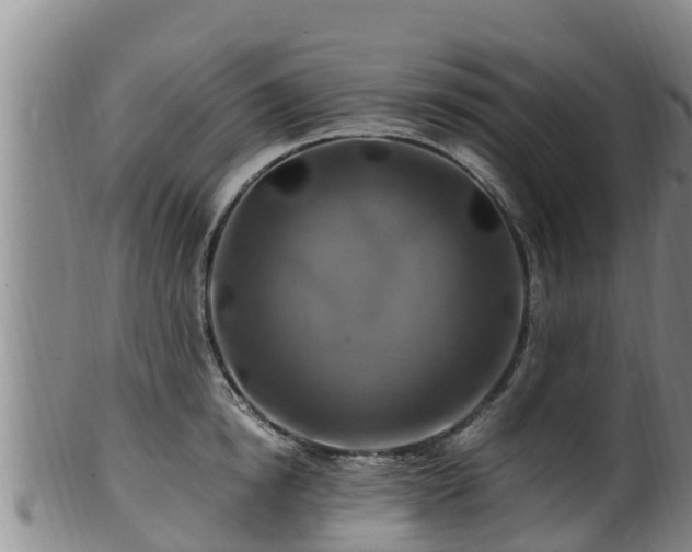 X0000100880854200806271135