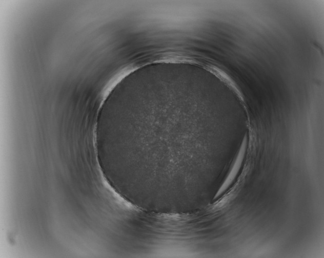 X0000100880855200806271135