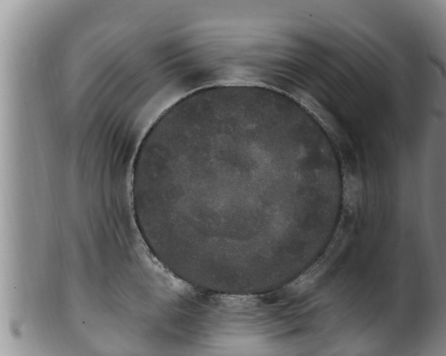 X0000100880856200806271135