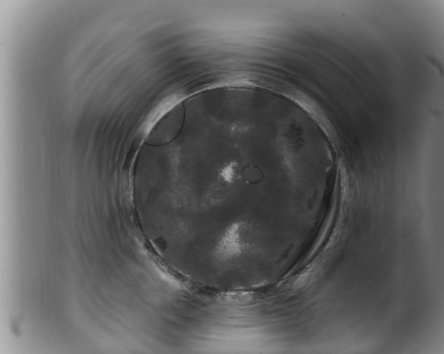 X0000100880858200806271135