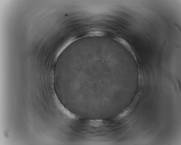 X0000100880859200806271135