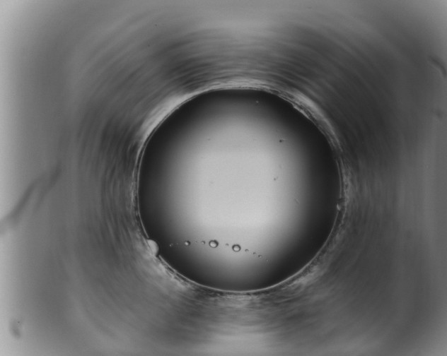 X0000100880860200806271135