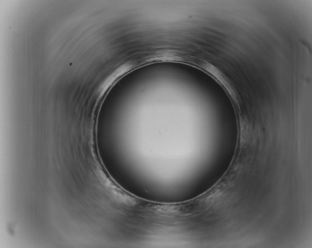 X0000100880861200806271136