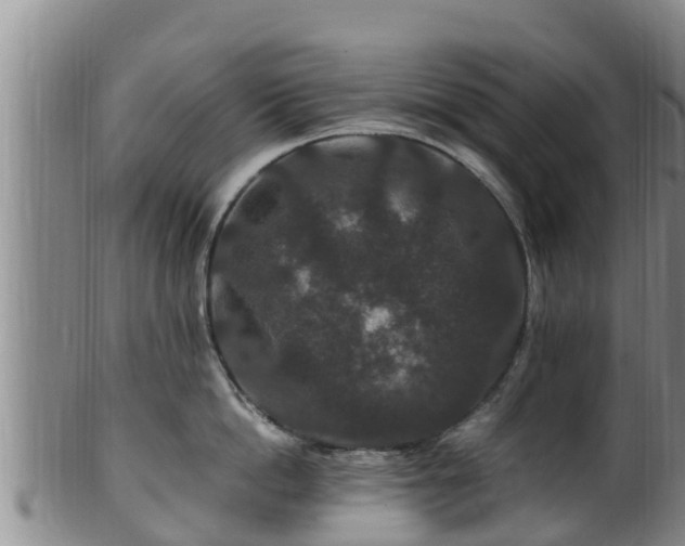 X0000100880862200806271136