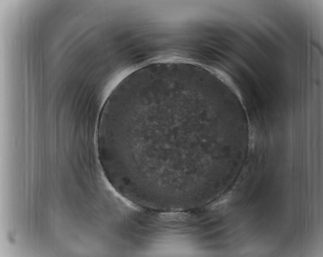 X0000100880863200806271136