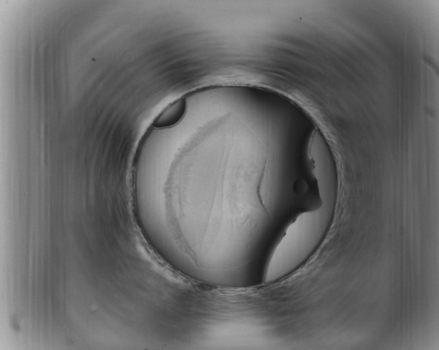 X0000100880864200806271136