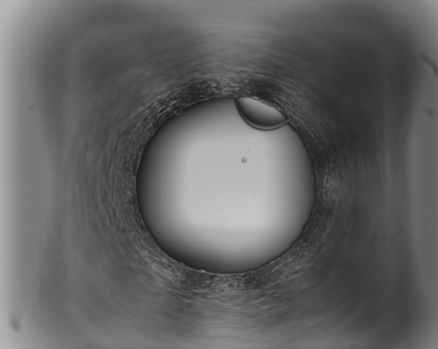 X0000100880865200806271135