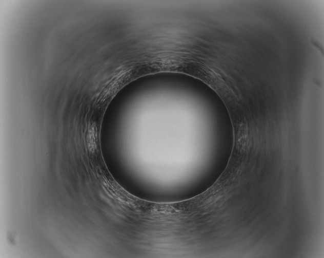 X0000100880866200806271135