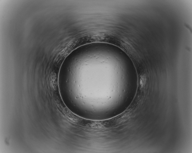 X0000100880867200806271135