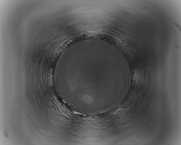 X0000100880868200806271135