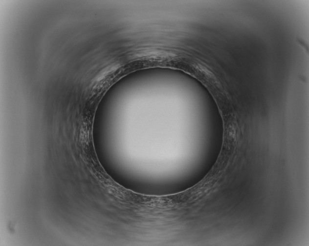 X0000100880869200806271135